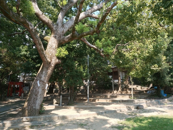厳嶋神社