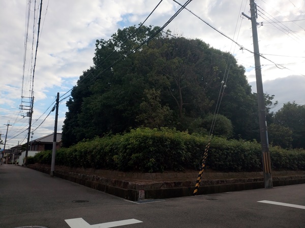 春日山田皇女陵(高屋八幡山古墳)