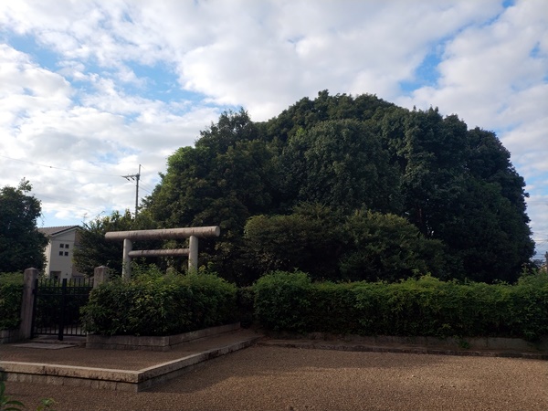 春日山田皇女陵(高屋八幡山古墳)