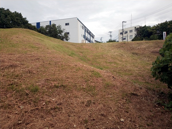 駒ヶ谷宮山古墳/玉手山14号墳