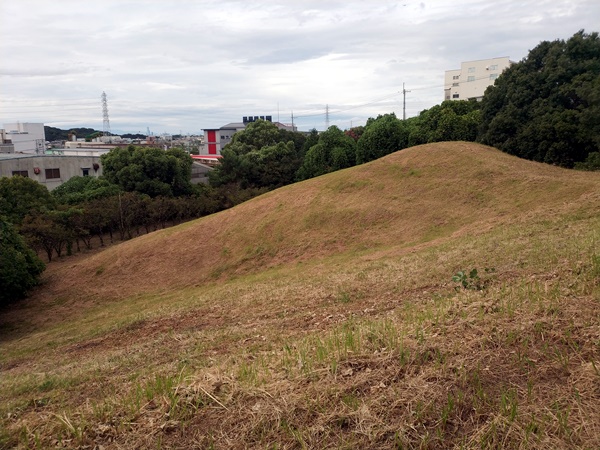 駒ヶ谷宮山古墳/玉手山14号墳