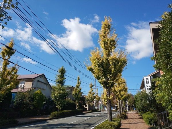 明神山