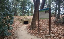 小口山古墳
