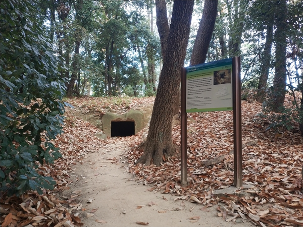小口山古墳