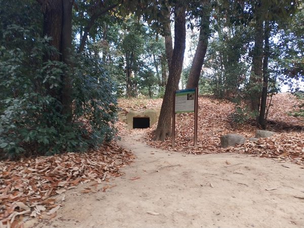 小口山古墳
