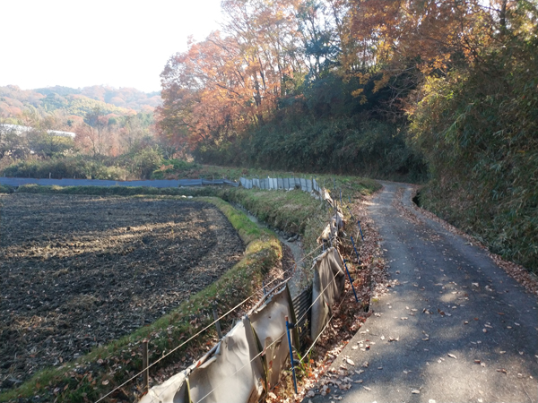 蝦夷塚