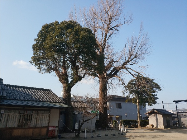 長野神社