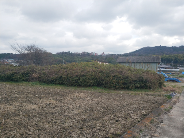 西野々古墳群
