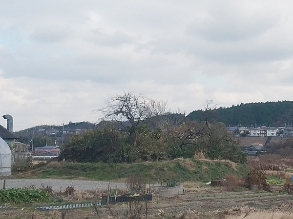 西野々古墳群