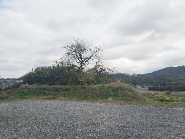 西野々古墳群