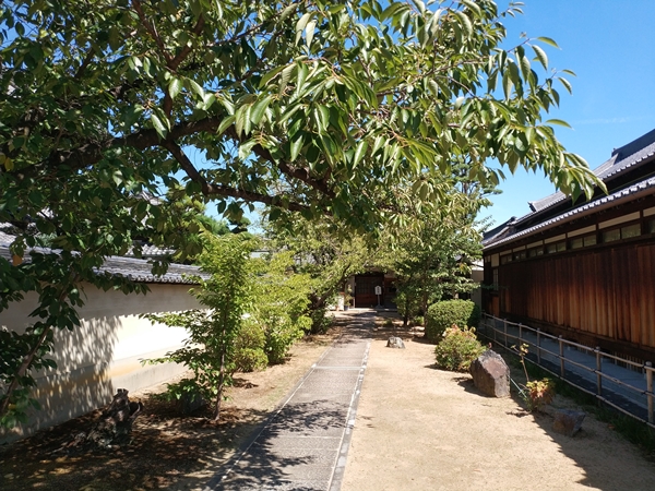 野中寺