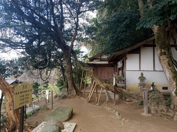腰神神社の境内