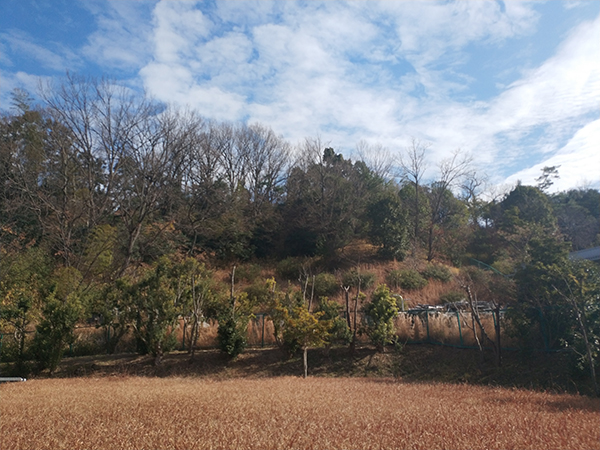 大伴黒主神社
