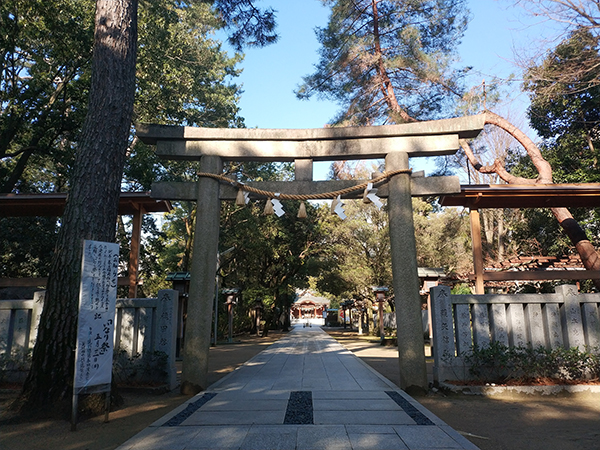 辛國神社の鳥居
