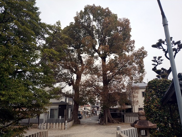 丹比神社