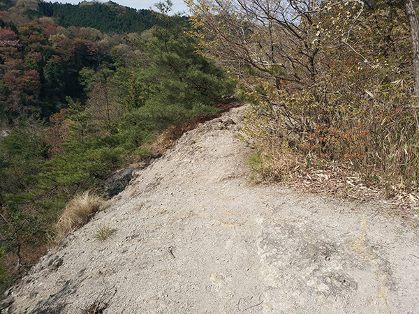 鹿谷寺跡