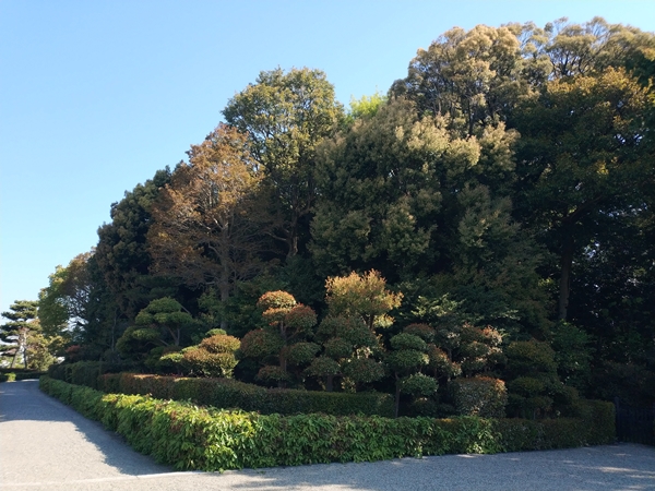 誉田丸山古墳
