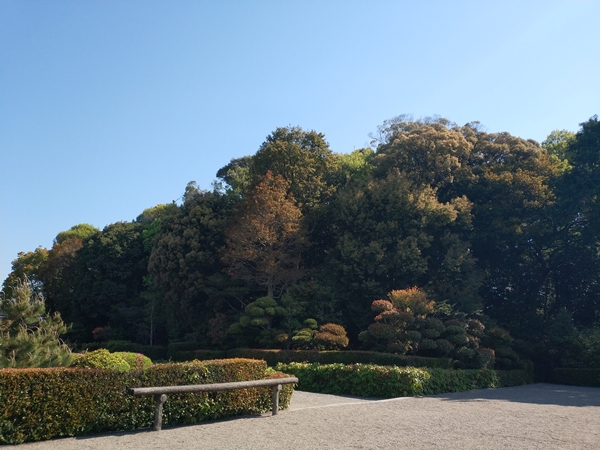 誉田丸山古墳