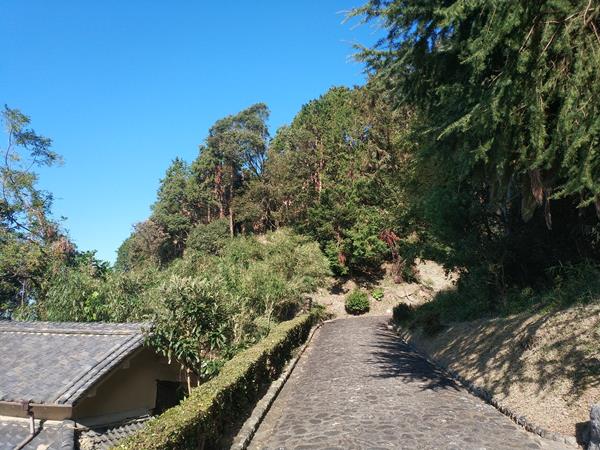 孝徳天皇陵(山田上ノ山古墳)