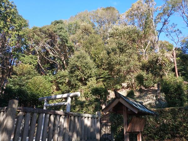 孝徳天皇陵(山田上ノ山古墳)