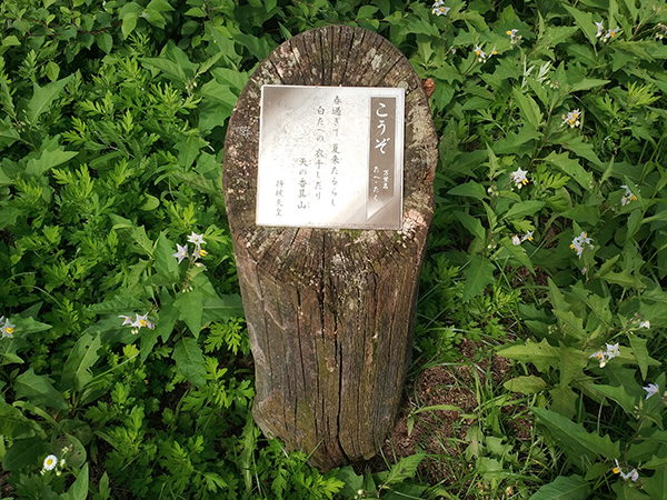 であいのみち