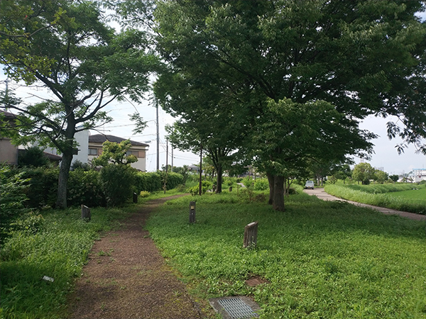 であいのみち