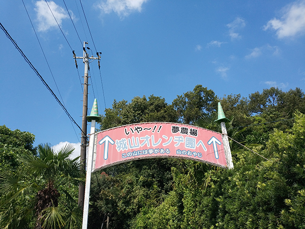 城山オレンヂ園
