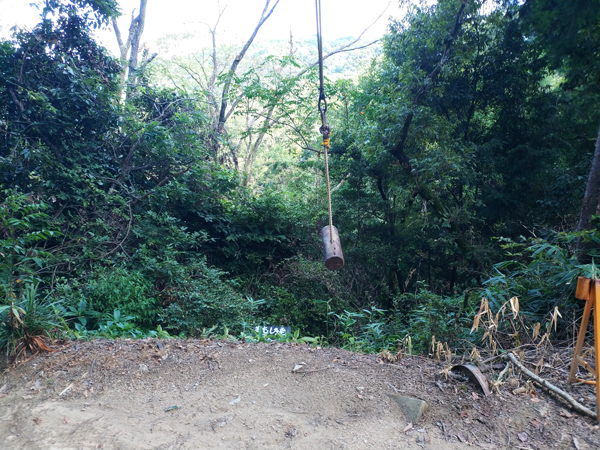 城山オレンヂ園