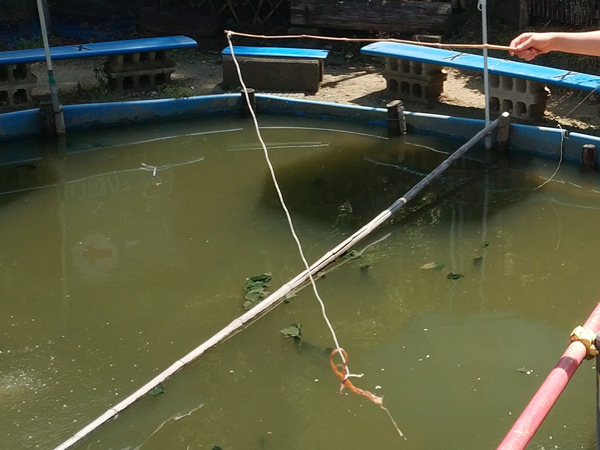 城山オレンヂ園