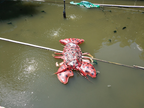 城山オレンヂ園