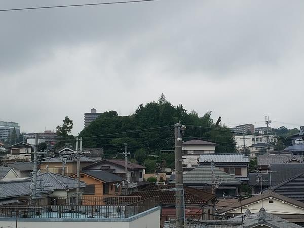 新家古墳
