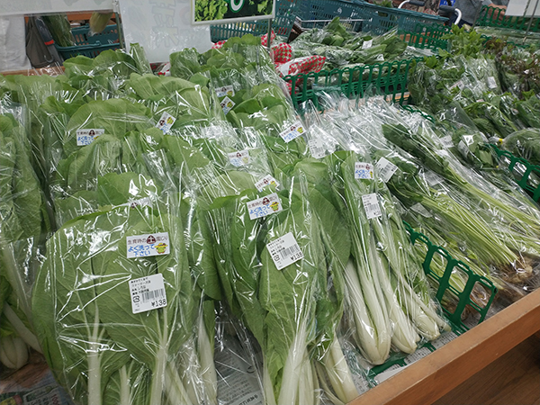 道の駅しらとりの郷・羽曳野