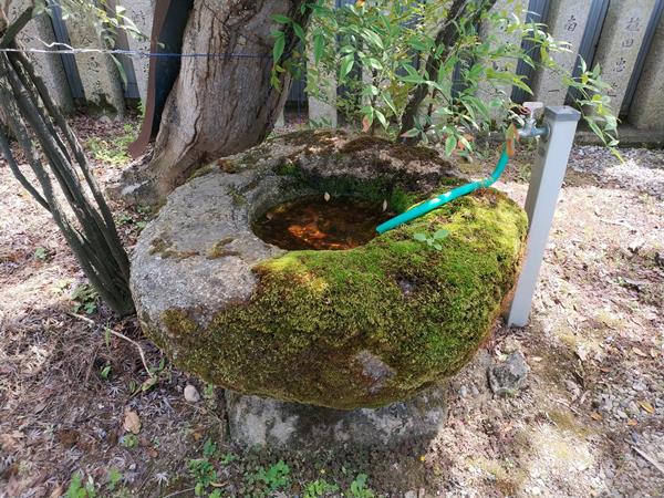 金毘羅大神宮の手水舎