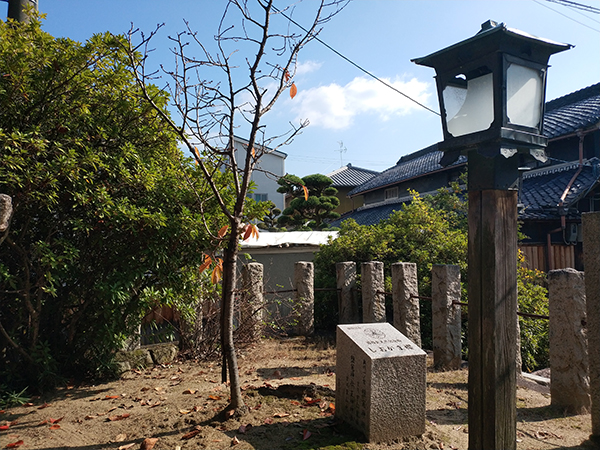 鹽竈神社・正神神社にある塩釜桜