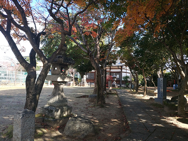 板茂神社の境内