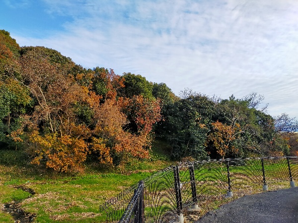 墓山古墳