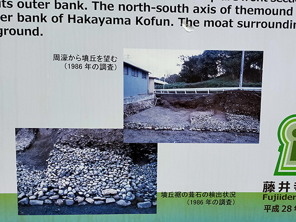 浄元寺山古墳南側の葺石写真