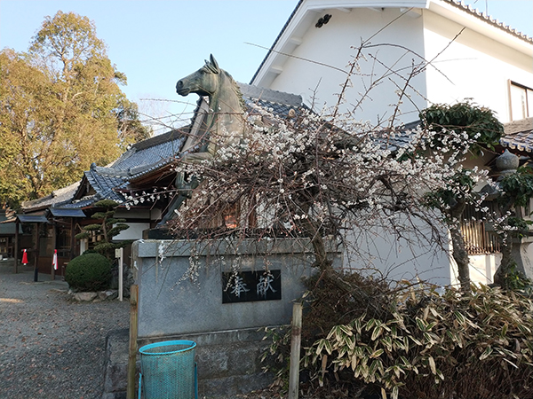 西代神社の神馬