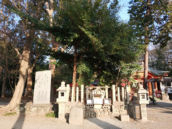 西代神社の八王神