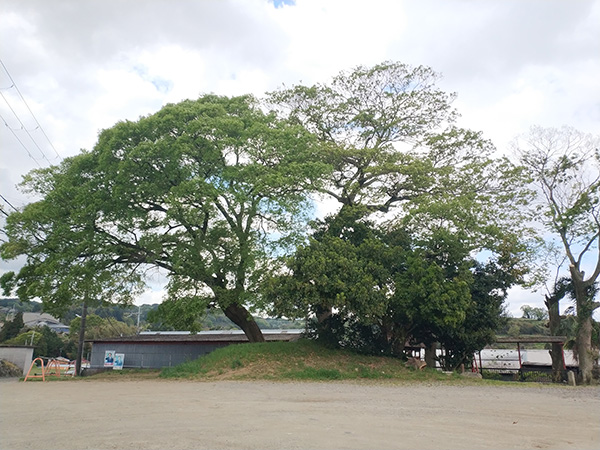 御旅所古墳全景
