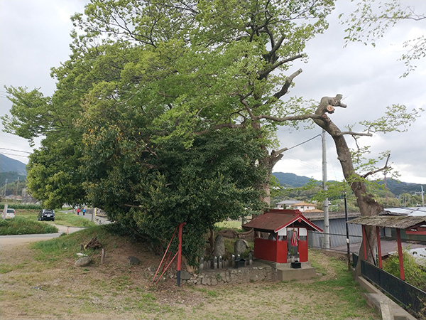 御旅所古墳西側