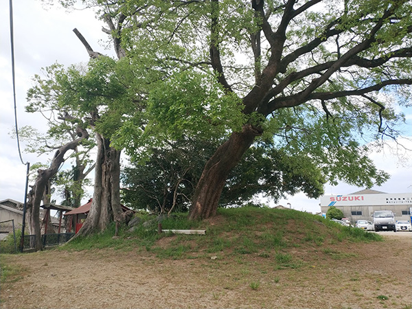 御旅所古墳の東側