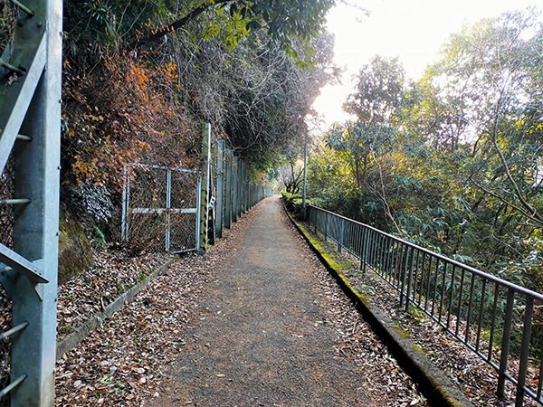 蟹井神社への道