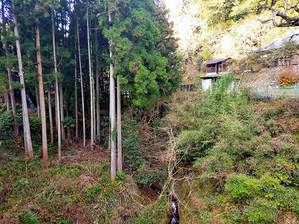 天見川