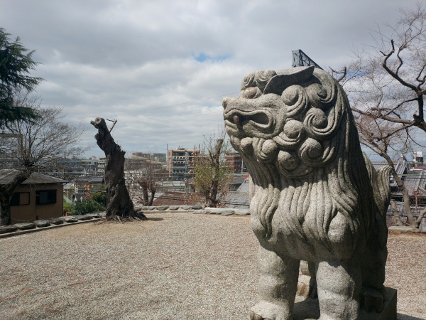 古室八幡神社の狛犬