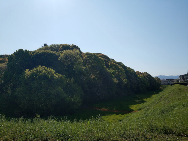 仲津山古墳