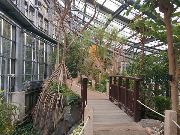 大阪狭山市立 市民ふれあいの里にある植物園02