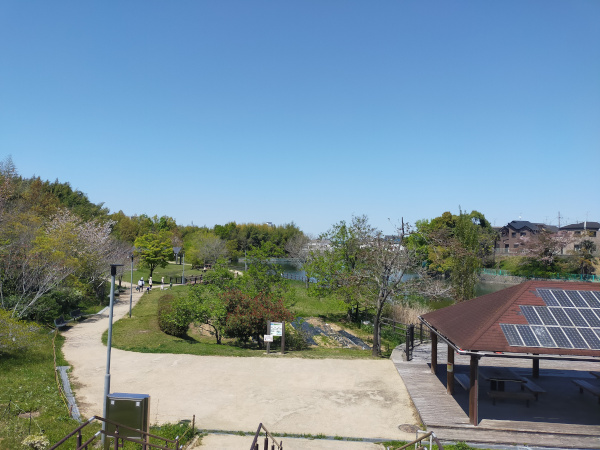 副池オアシス公園の全景