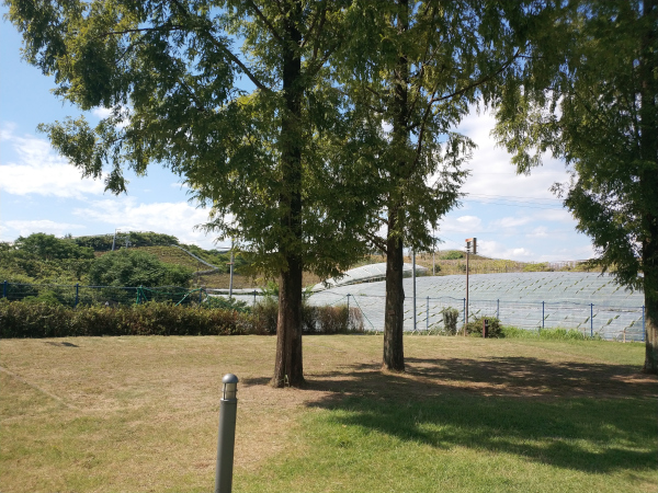 グレープヒルスポーツ公園内にある、ふれ愛広場キャンプのサイト