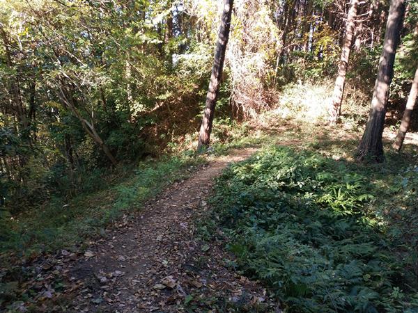 上赤阪城跡のそろばん橋